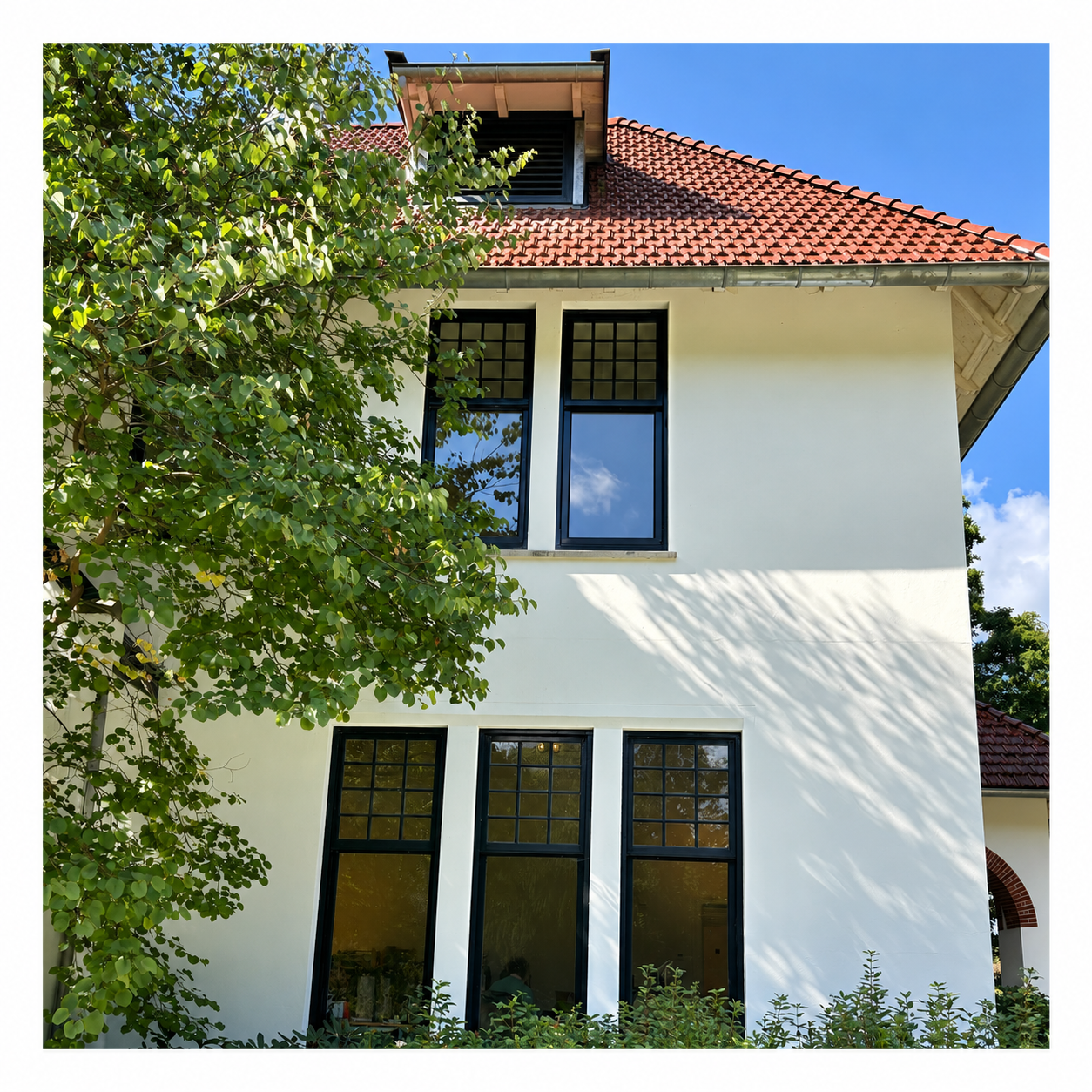 Directeur/bestuurder BVS